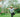 Qigong to Relieve Back Pain