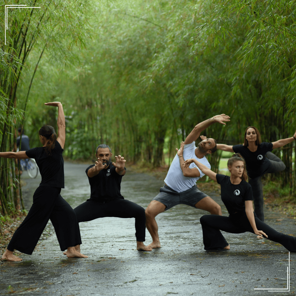 White Tiger Qigong students practising together in a bamboo forest