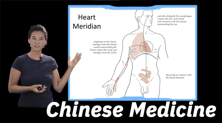 Chinese Medicine Fundamentals for Qigong Practitioners