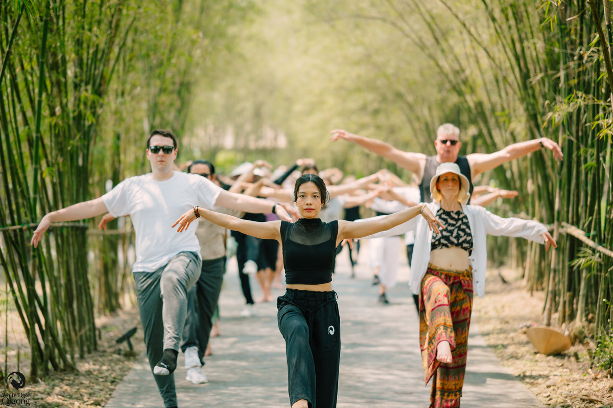 Students practising qigong together on a bamboo path
