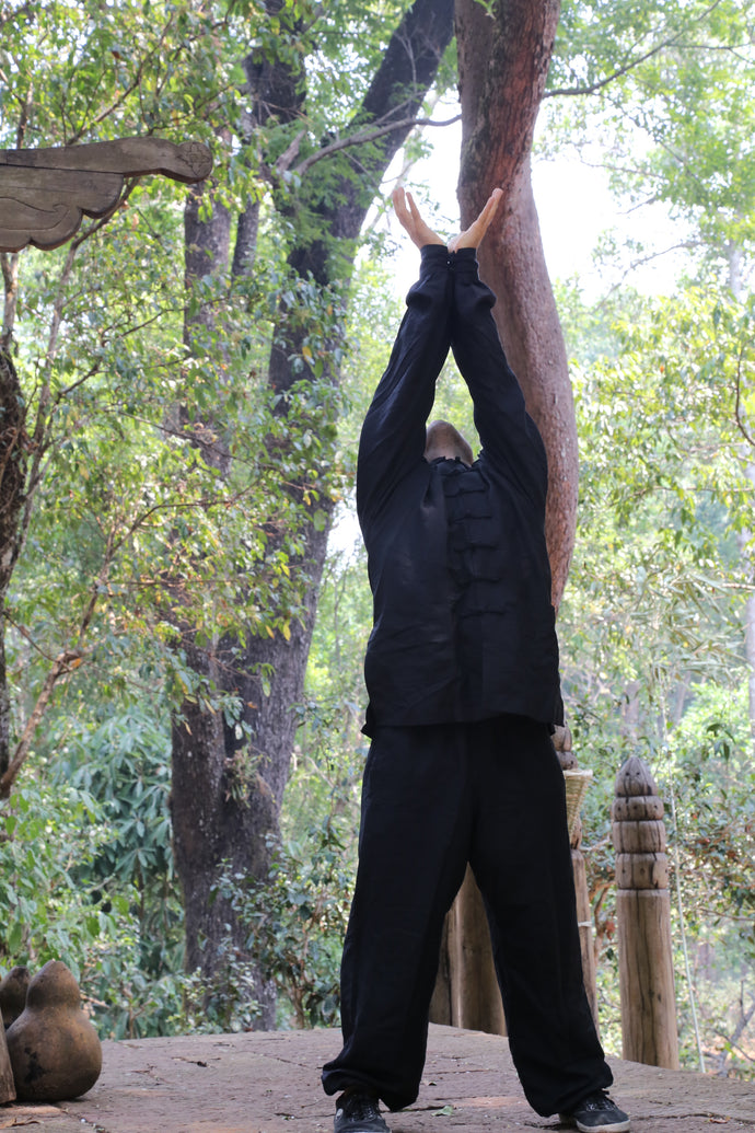 Tevia Feng teaching a transmission