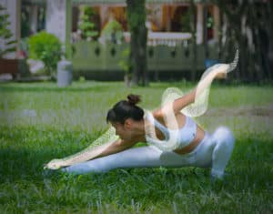 Snake Qigong-White Tiger Qigong