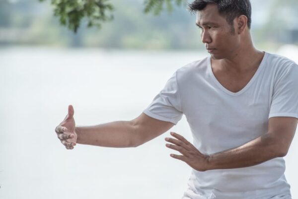Difference between Qigong and Taichi