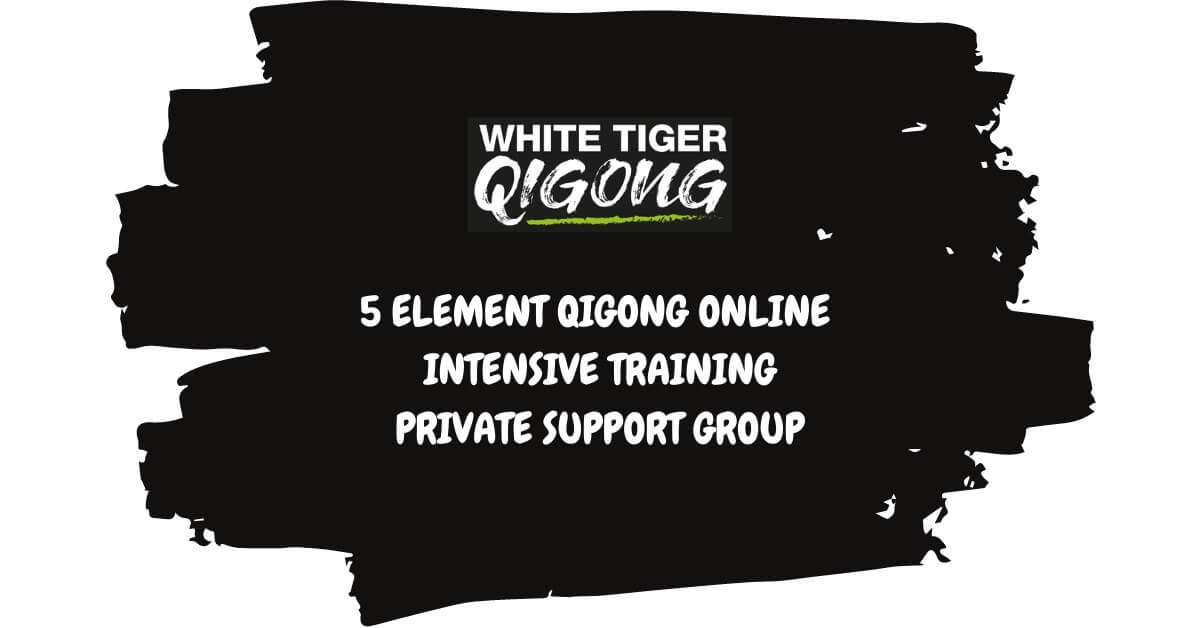WTQ - Intensive Private Support Group 1200 x 628