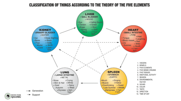 5 Element Qigong Theory