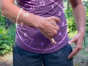 Photo of the Rabbit Springs Qigong Organ Clock for Digestion