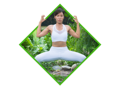 Qigong-for-Back-Pain-Online-Course.png
