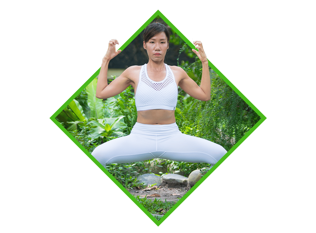 Qigong-for-Back-Pain-Online-Course.png