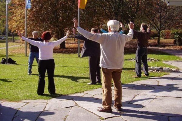 A group of people doing Qigong in a park