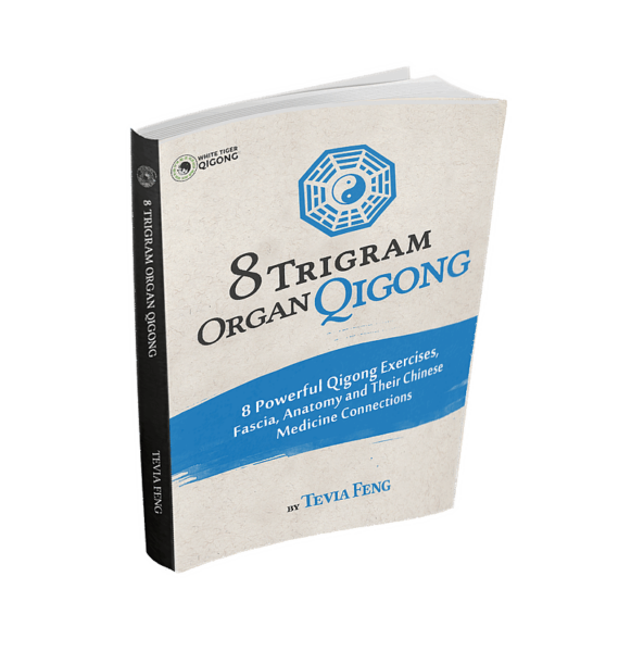 8-trigram-qigong-ebook-cover-transparent-581x600.png
