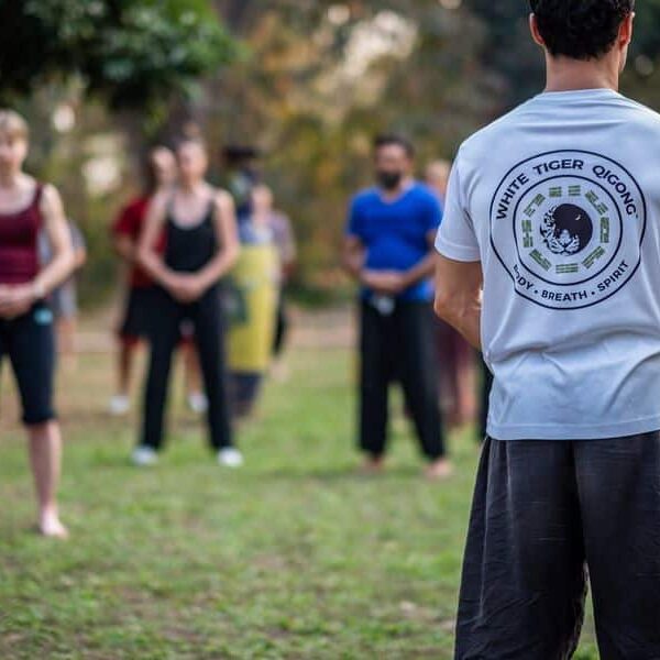 White Tiger Qigong course being taught outdoors