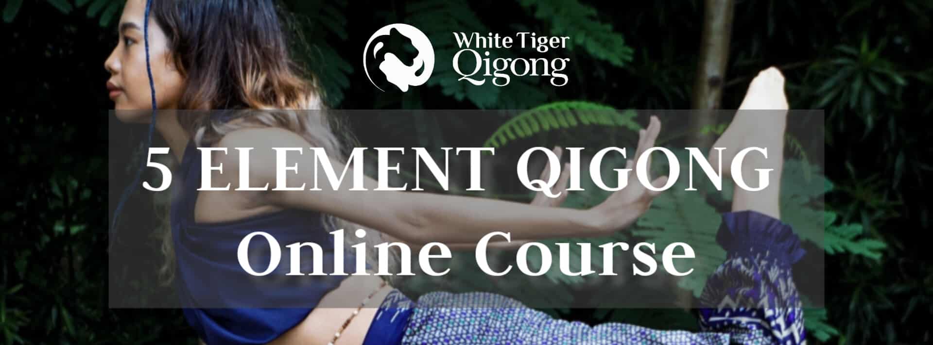 5  Element Qigong Online Course Poster