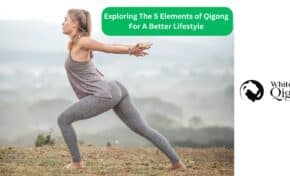 5 Element Qigong